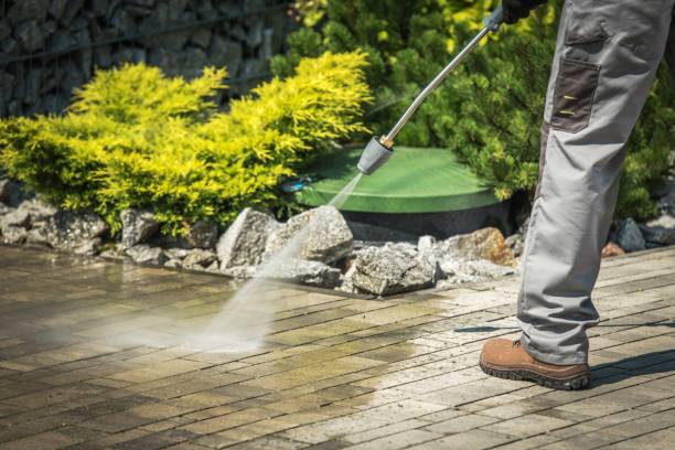 Best Pool Deck Cleaning  in Pioneer, CA