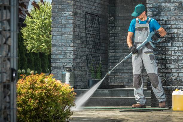 Best Soft Washing  in Pioneer, CA